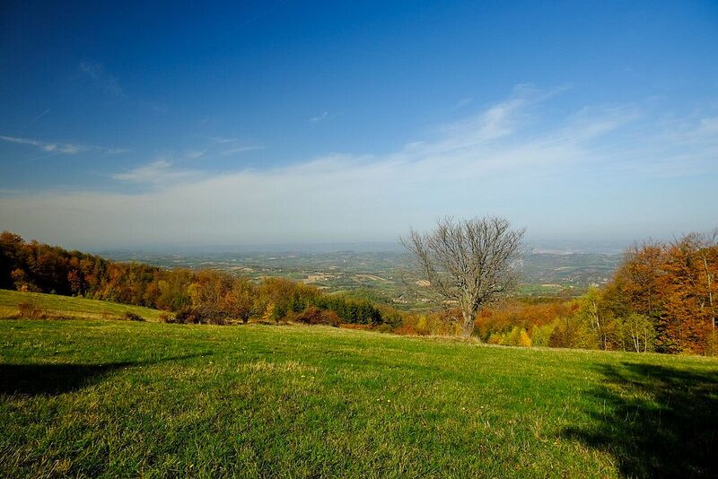 Valjevo