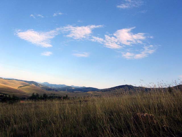 Златибор